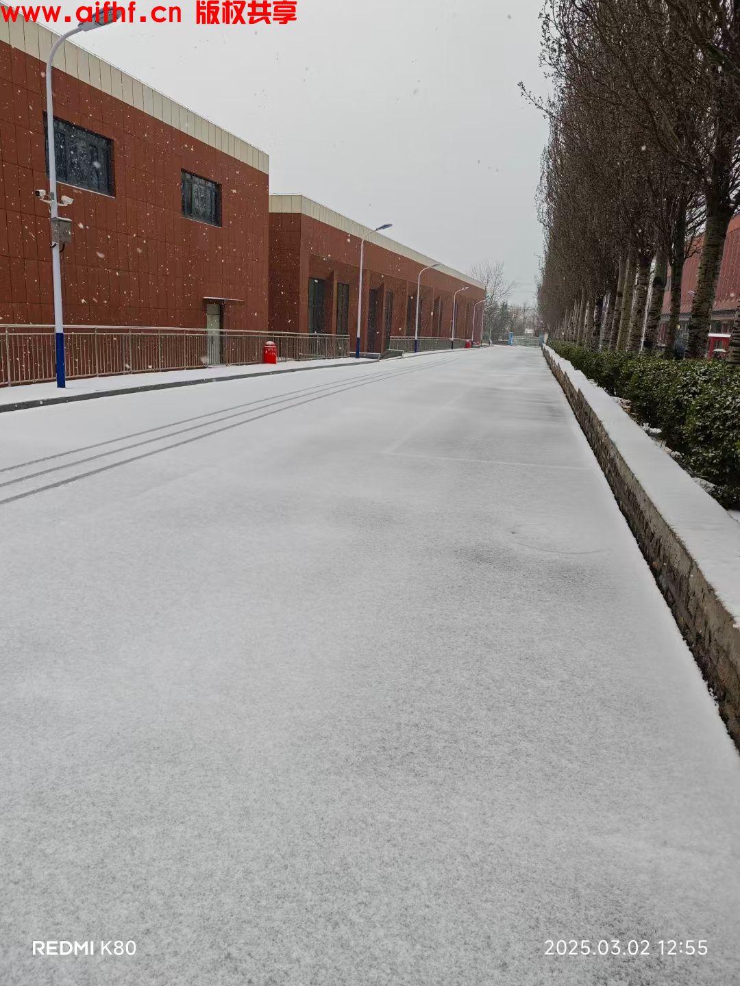 长烟:2025三月的校园雪景