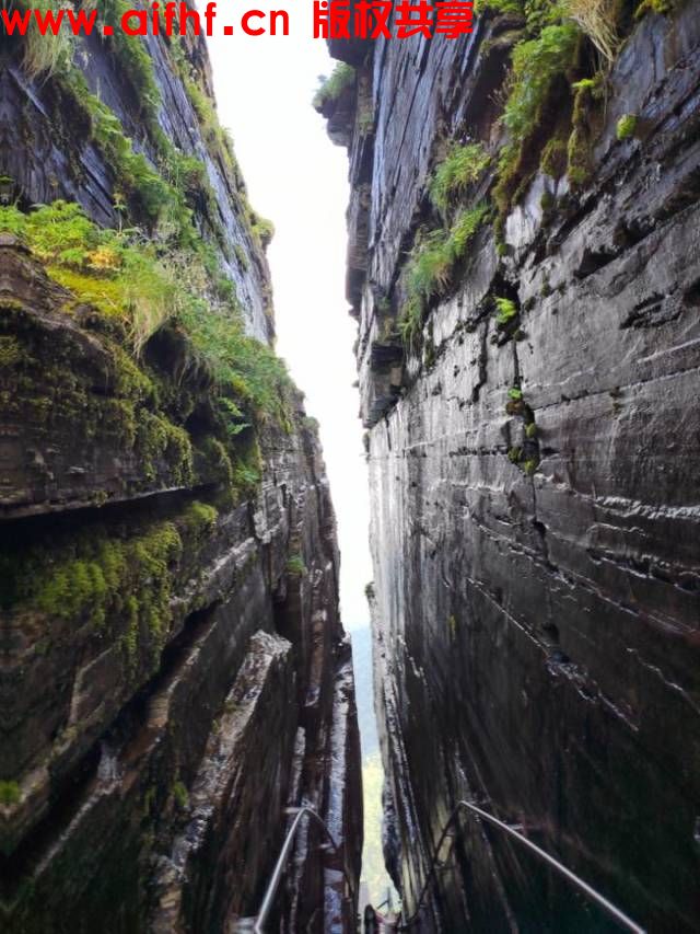 肖永进:铜仁梵净山游玩(AIFHF优秀图片)