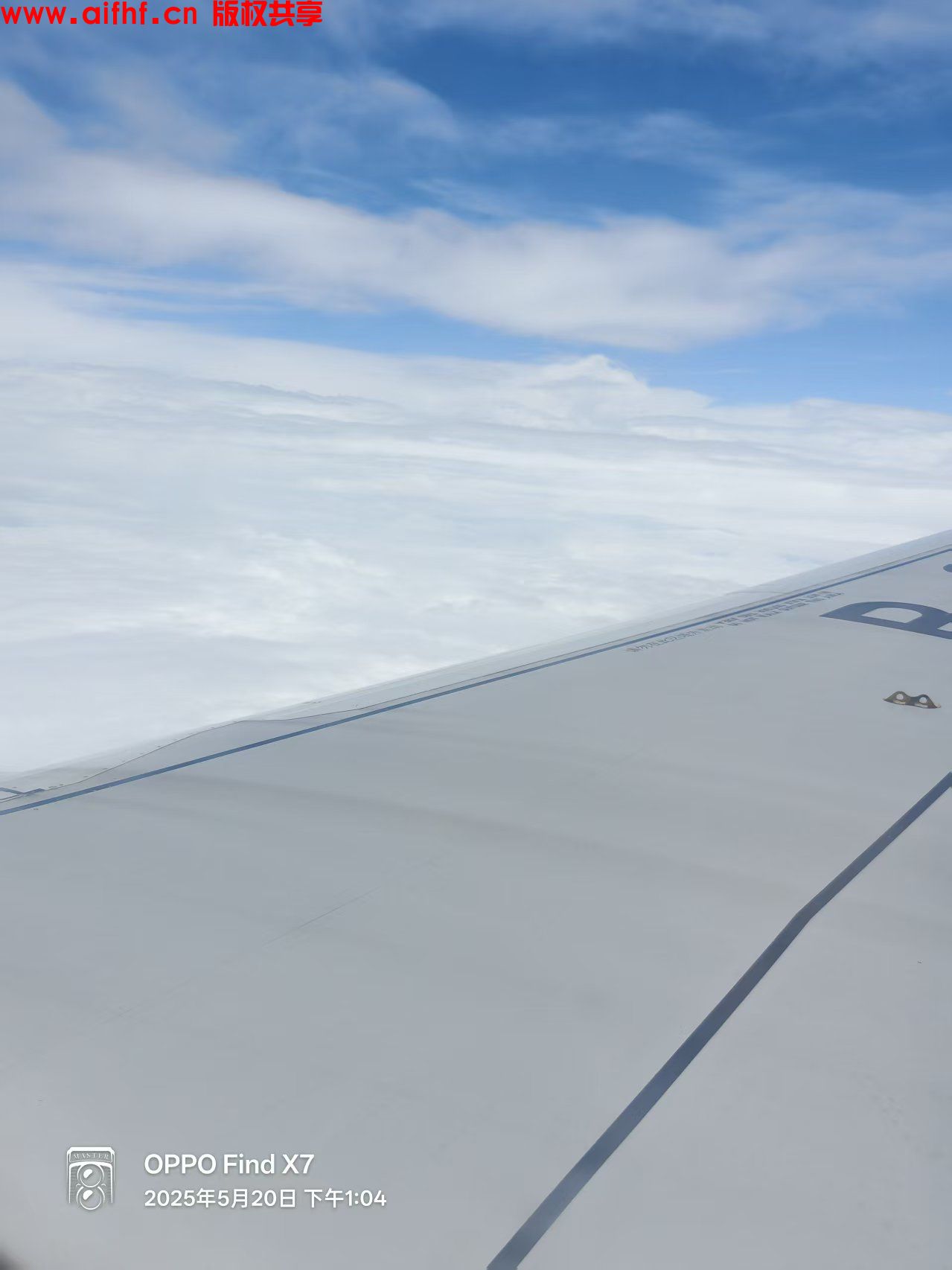 只为博她一笑:向往自由的天空