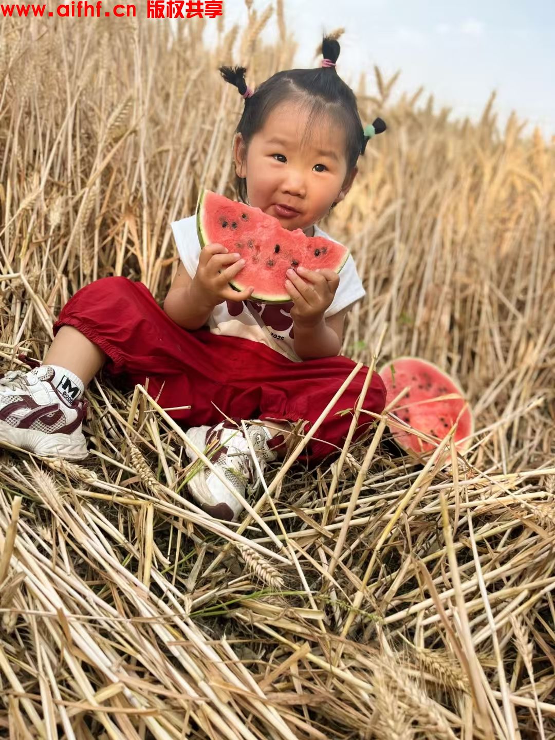 八九:麦田守望者我的宝贝(AIFHF优秀图片)